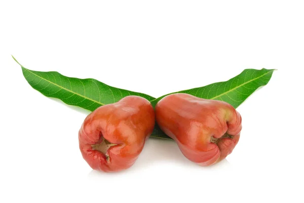 Rose apple från thailand isolerad på vit bakgrund — Stockfoto