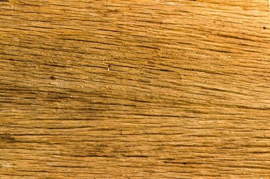 eski ahşap doku boğulmak ağaç