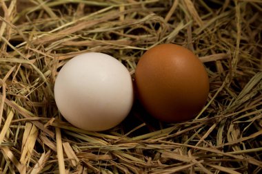 yumurta. saman. ahşap üzerine