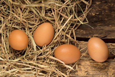 yumurta. saman. ahşap üzerine