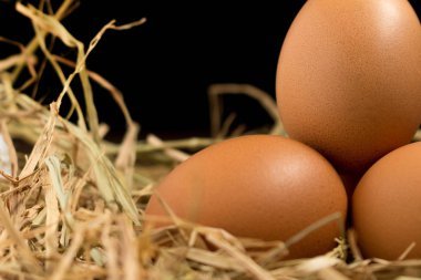 yumurta. saman. ahşap üzerine. siyah arka plan