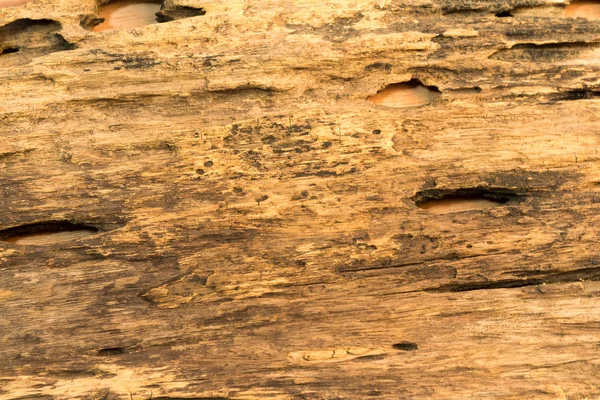 Alte Holzstruktur Hintergrund Natur — Stockfoto