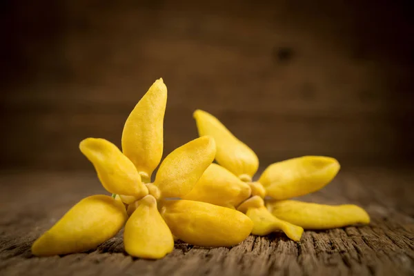 flower climbing ylang-ylang, climbing ilang-ilang, manorangini, 
