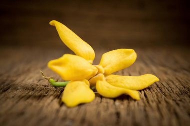 flower climbing ylang-ylang, climbing ilang-ilang, manorangini, 