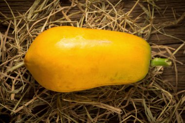 Papaya meyvesi. eski ahşap. sabahlar. gün batımı. Sanat. Asya. Üstten Görünüm