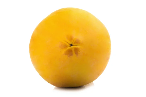Papaya fruit. closeup header. color orange. asian. isolated on w — Stock Photo, Image