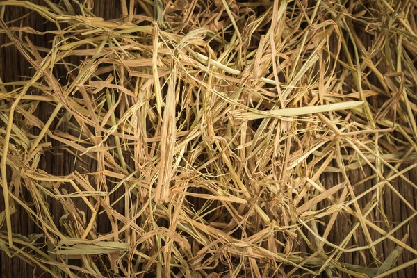 Dry straw texture background.on wood — Stock Photo, Image