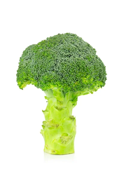 Broccoli isolated on white background — Stock Photo, Image