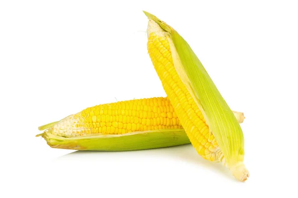Кукуруза свежий изолированный на белом фоне — стоковое фото