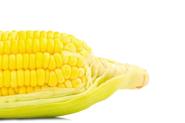 Świeżych kukurydzy na białym tle. tylnej części zbliżenie — Zdjęcie stockowe