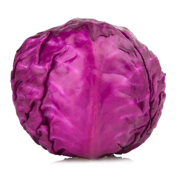 Purple Cabbage isolated on white background — Stock Photo, Image