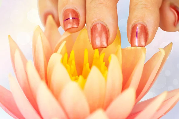一个女人的手 粉红色的指甲 在柔和的触摸自然新鲜的闪亮的水玫瑰在柔和的颜色 指甲设计粉红色与闪亮条纹 修剪过的手指触到了明亮的散景背景的水玫瑰 — 图库照片