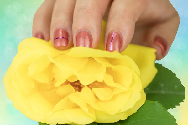 Nail design manicure decorated with a blossom from a yellow rose. Concept beauty. Nail design pink color with a shiny stripe. The manicured fingers touch the blossom of a yellow rose over bright pastel bokeh background.