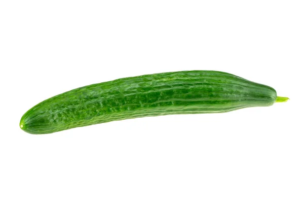 One Ripe Green Cucumber Isolated White Background — Stock Photo, Image