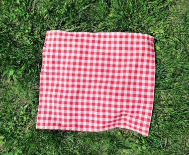 Kırmızı kareli piknik bez üzerinde yeşil çim üstten görünüm.