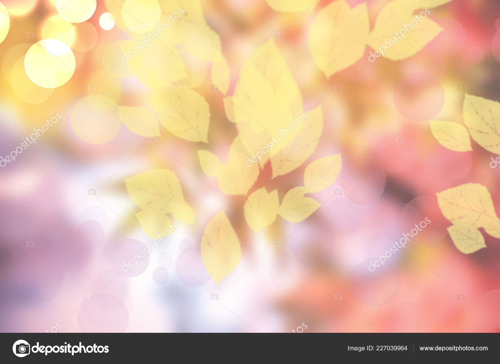 グラフィックアート Biwako360 °(autumn) グラフィックアート