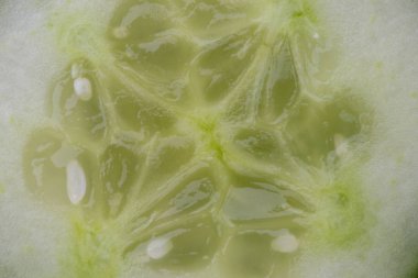 Sebze arka plan doku. Makro bir taze dilimlenmiş salatalık. Yakın çekim. Helath kavramı.