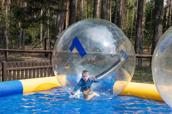Water or aqua zorbing. Children play inside the inflatable trans