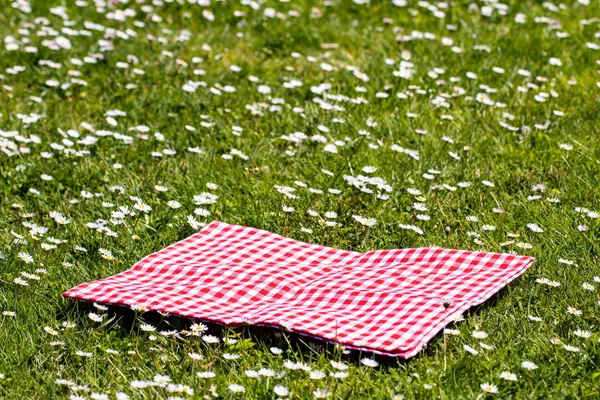 Fond pique-nique. Tissu pique-nique à carreaux rouges sur une prairie de marguerites — Photo