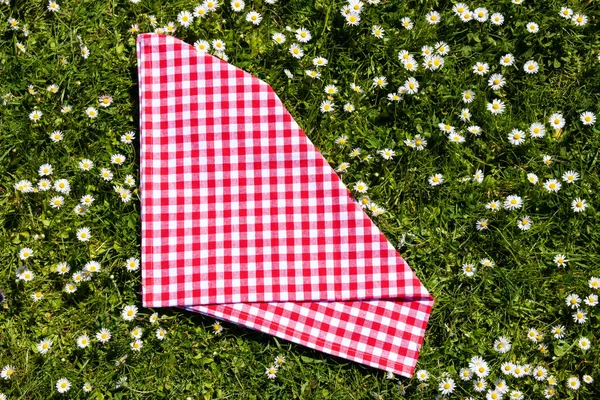 Piknik arka planı. Papatya çayırında kırmızı damalı piknik bezi. — Stok fotoğraf