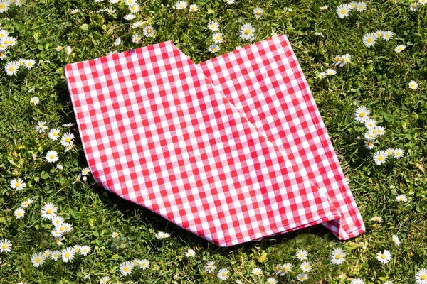 Piknik arka planı. Bir papatya üzerinde katlanmış kırmızı damalı piknik bezi — Stok fotoğraf