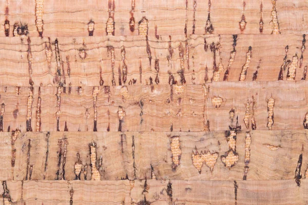 Cork background texture. Closeup of detail from natural oak cork