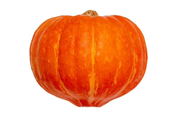 Pompoen geïsoleerd. Close-up van een oranje-rode Hokkaidio pompoen ISO — Stockfoto