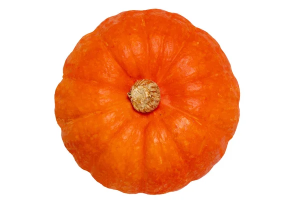 Kürbis isoliert. Nahaufnahme eines orange-roten Hokkaidio-Kürbisses isoliert auf weißem Hintergrund. gesunde Ernährung. Makro. — Stockfoto
