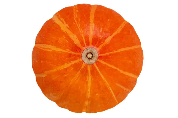 Pompoen geïsoleerd. Close-up van een oranje-rode Hokkaidio pompoen ISO — Stockfoto