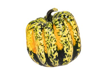 Balkabağı izole edilmiş. Yeşil turuncu Karnaval veya Festiva yakın çekim