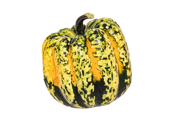 Balkabağı izole edilmiş. Yeşil turuncu Karnaval veya Festiva yakın çekim