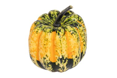 Balkabağı izole edilmiş. Yeşil turuncu Karnaval veya Festiva yakın çekim