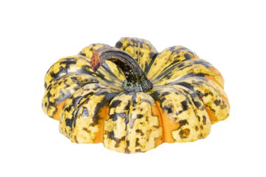 Kavrulmuş balkabağı. Kullanılan balkabağının kesme kafasının yakın çekim 