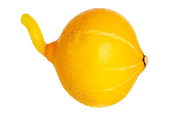 Vegetais Frutas Isoladas Uma Abobrinha Orgânica Amarela Redonda Madura Fresca — Fotografia de Stock