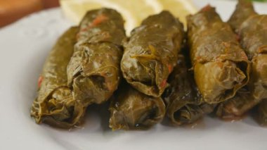 Doldurulmuş Dolma rulo çatal üzerine kazıklı, yakın