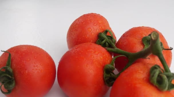 Frische reife Tomaten am Weinstock mit Wassertropfen auf der Tomate. — Stockvideo