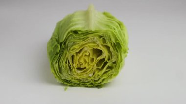 Doğrama marul yakın çekim . Hareket animasyonu durdur.