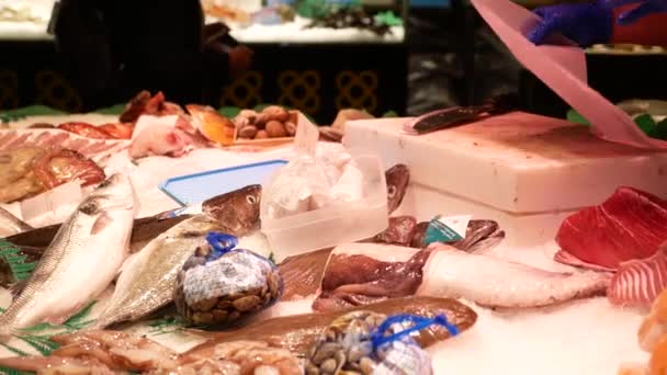 Žena prodávajících mořské plody. Barcelona, Španělsko — Stock video