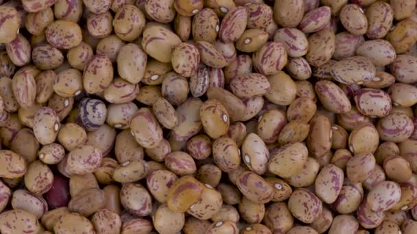 Pozadí suchých Pinto fazolí. Pohled shora. — Stock video