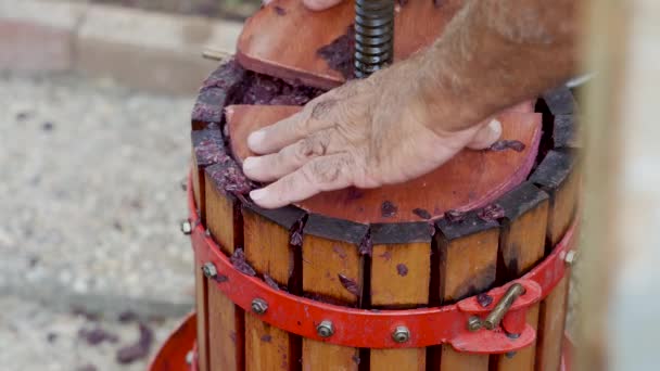 Traditionelle manuelle Traubenzerkleinerer. Weinbereitung — Stockvideo