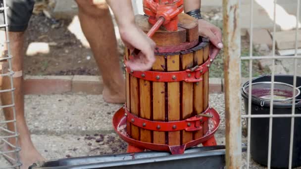 Traditionella manuella druvkross. Vinframställning — Stockvideo