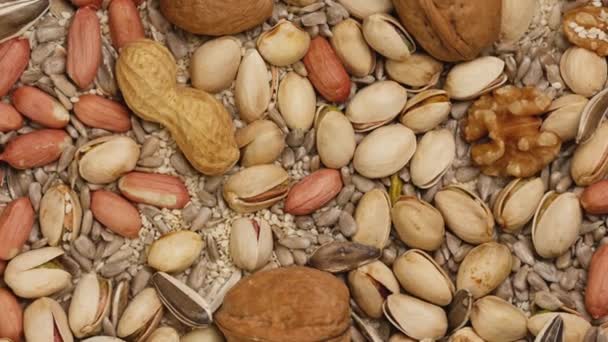 Mezcla de semillas y frutos secos: girasol, nueces, cacahuetes, pistachos, sésamo  . — Vídeos de Stock