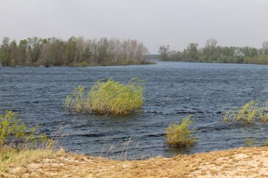 Bahar Turov, Beyaz Rusya yakınındaki Pripyat nehrin sel ile manzara