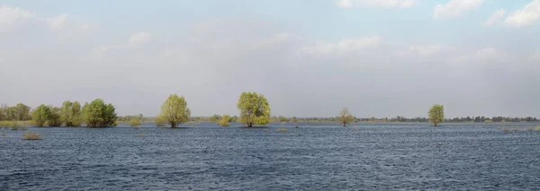 Panoramic Landscape Spring Flooding Pripyat River Turov Belarus — Stock Photo, Image