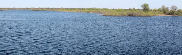 Panorama Landschap Met Lente Overstroming Van Pripyat Rivier Buurt Van — Stockfoto