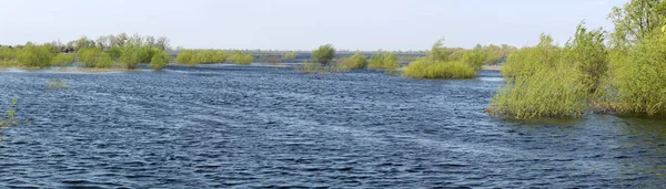 Panoramic Landscape Spring Flooding Pripyat River Turov Belarus — Stock Photo, Image