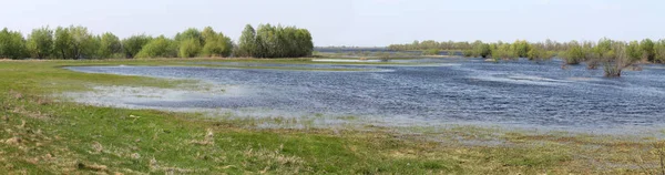 Panoramic Landscape Spring Flooding Pripyat River Turov Belarus — Stock Photo, Image