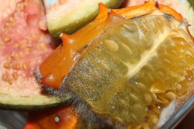 Boynuzlu kavun veya kiwano üzerinde meyve kalıp