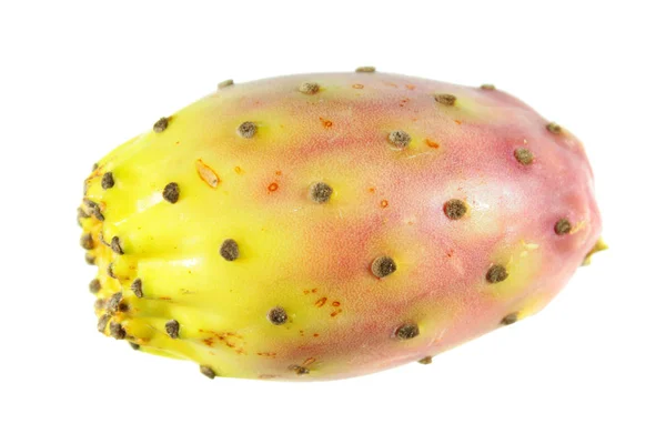 Prickly Pear Vruchten Geïsoleerd Witte Achtergrond — Stockfoto