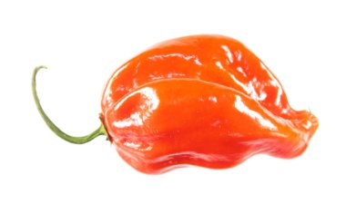 Kırmızı habanero biberi beyaz arkaplanda izole edildi
